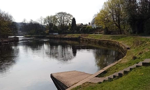 Foraging - River Leven 