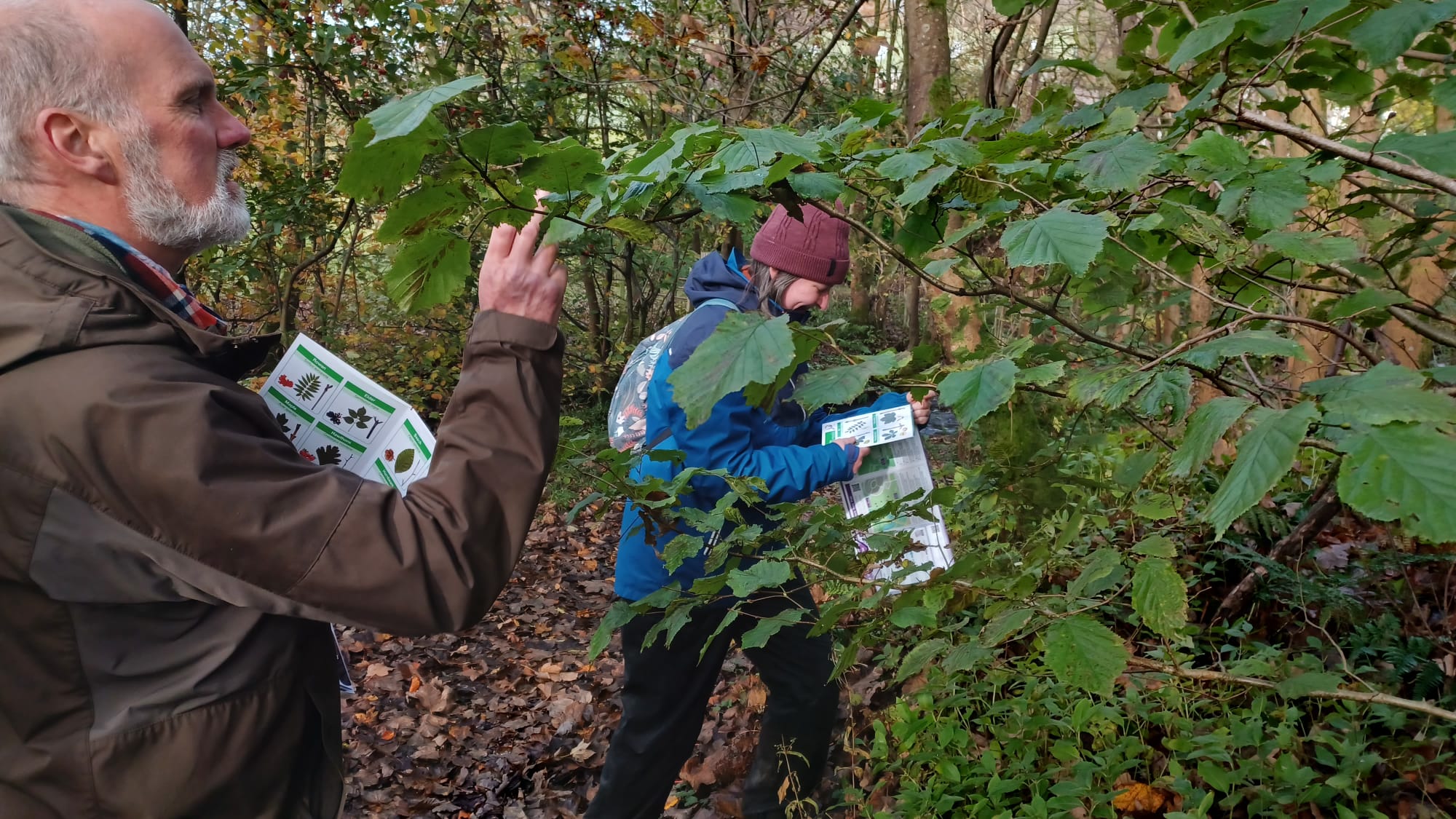 Conservation volunteers spending time in nature