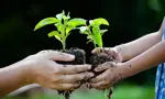 Plant Swap